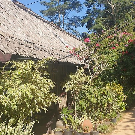 Nong Kiau Riverside Nongkhiaw Εξωτερικό φωτογραφία